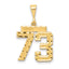 14k Medium Diamond-cut Number 73 Charm