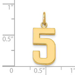 14K Gold Polished Number 5 Charm in Elegant Medium Size