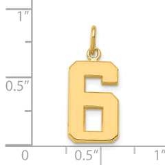 14K Gold Polished Number 6 Charm Medium, Elegant Cast Design
