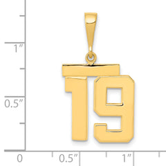 14K Gold Polished Number 19 Charm in Medium Size