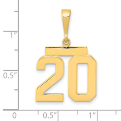 14K Gold Polished Number 20 Charm Medium-Sized Classic Charm