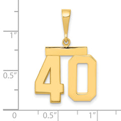 14K Gold Polished Number 40 Charm in Medium Size
