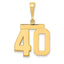 14k Medium Polished Number 40 Charm