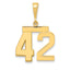 14k Medium Polished Number 42 Charm