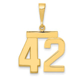 14k Medium Polished Number 42 Charm