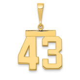 14k Medium Polished Number 43 Charm