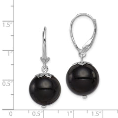 Sterling Silver Rhodium-Plated Onyx Dangle Earrings with Leverback Closure