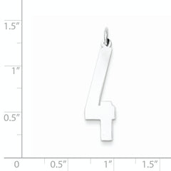 SS Large Elongated Polished Number 4