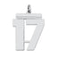 Sterling Silver/Rhodium-plated Polished Number 17 Charm