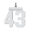 Sterling Silver/Rhodium-plated Polished Number 43 Charm
