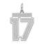 Sterling Silver/Rhodium-plated Satin Number 17 Charm