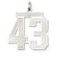 Sterling Silver/Rhodium-plated Satin Number 43 Charm