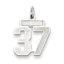 Sterling Silver/Rhodium-plated Satin Number 37 Charm