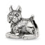 Sterling Silver Reflections Boxer Bead