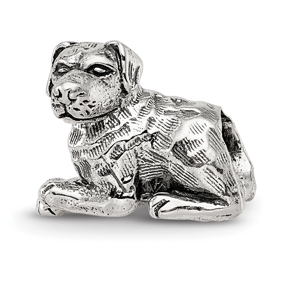 Sterling Silver Reflections Rottweiler Bead