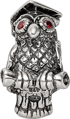 Sterling Silver 925 Antiqued Wise Owl Bead Solid Casted Charm