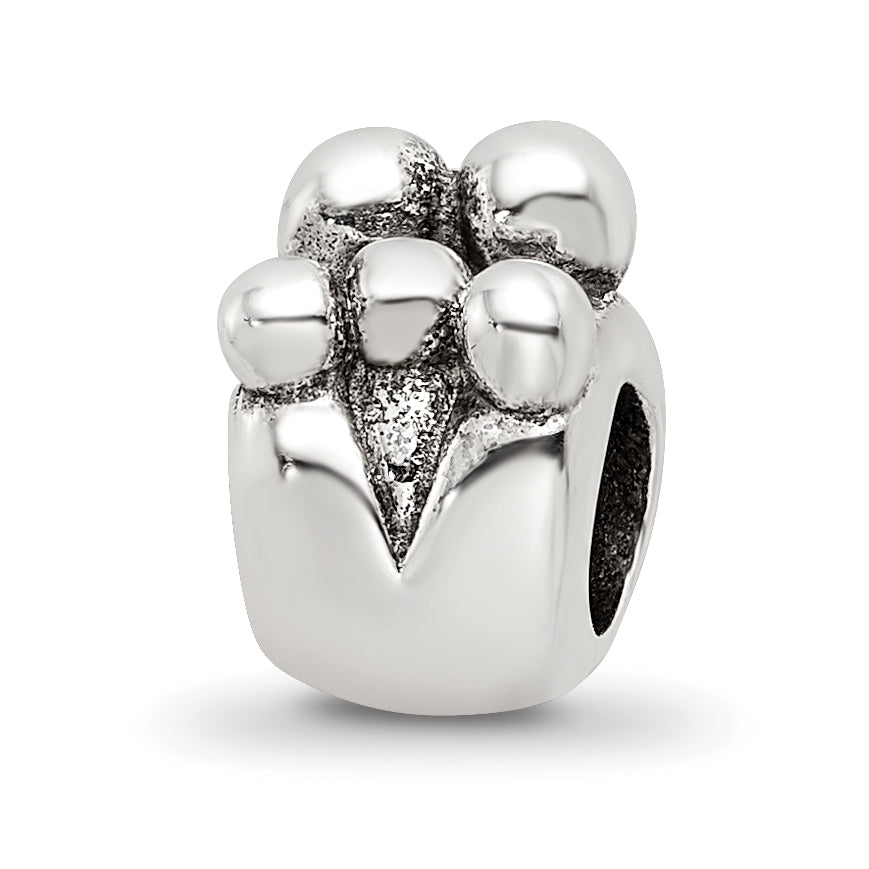 Sterling Silver Reflections Family of 5 Bead