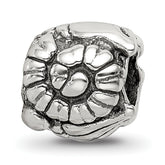 Sterling Silver Reflections Shells Bead