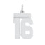 Sterling Silver/Rhodium-plated Polished Number 16 Charm