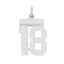 Sterling Silver/Rhodium-plated Polished Number 18 Charm
