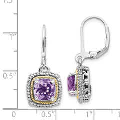 Sophia Jewelers Sterling Silver 14K Gold Amethyst Leverback Earrings