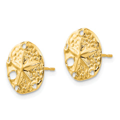 14K Gold Polished Sand Dollar Earrings Elegant & Nickel-Free