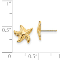 14K Gold Starfish Earrings with Polished Nickle-Free Finish