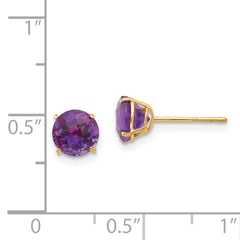 14K Yellow Gold Amethyst Birthstone Stud Earrings for Women