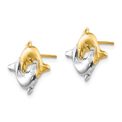 14K Gold Polished Dolphin Earrings with Rhodium Accent for Women