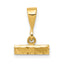 14k Small Brushed Diamond-cut Top Charm