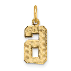 14K Small Brushed Diamond-cut Number 6 Charm