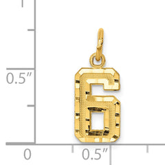 14K Small Brushed Diamond-cut Number 6 Charm