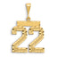 14k Small Brushed Diamond-cut Number 22 Charm