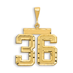 14k Small Brushed Diamond-cut Number 36 Charm