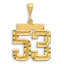 14k Small Brushed Diamond-cut Number 53 Charm