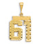 Small Number 61 Charm in 14K Yellow Gold, Diamond-Cut - Sophia Jewelers