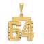 14k Small Brushed Diamond-cut Number 64 Charm