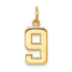 14k Small Polished Number 9 Charm