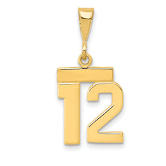 14k Small Polished Number 12 Charm