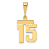 14k Small Polished Number 15 Charm