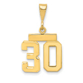 14k Small Polished Number 30 Charm