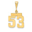 14k Small Polished Number 53 Charm