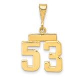 14k Small Polished Number 53 Charm