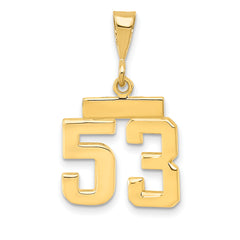 14k Small Polished Number 53 Charm