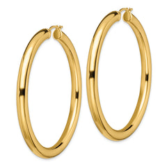 Sophia Jewelers Gold-Tone Stainless Steel Polished Hoop Earrings Gift Ready