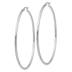 14K White Gold Polished Hoop Earrings with Rhodium Plating