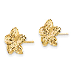 14K Polished & Textured Plumeria Post Earrings