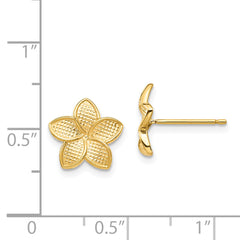 14K Polished & Textured Plumeria Post Earrings