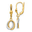 14K Two-Tone Textured and Polished Dangle Leverback Earrings