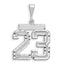 14kw Large Brushed Diamond-cut Number 23 Charm